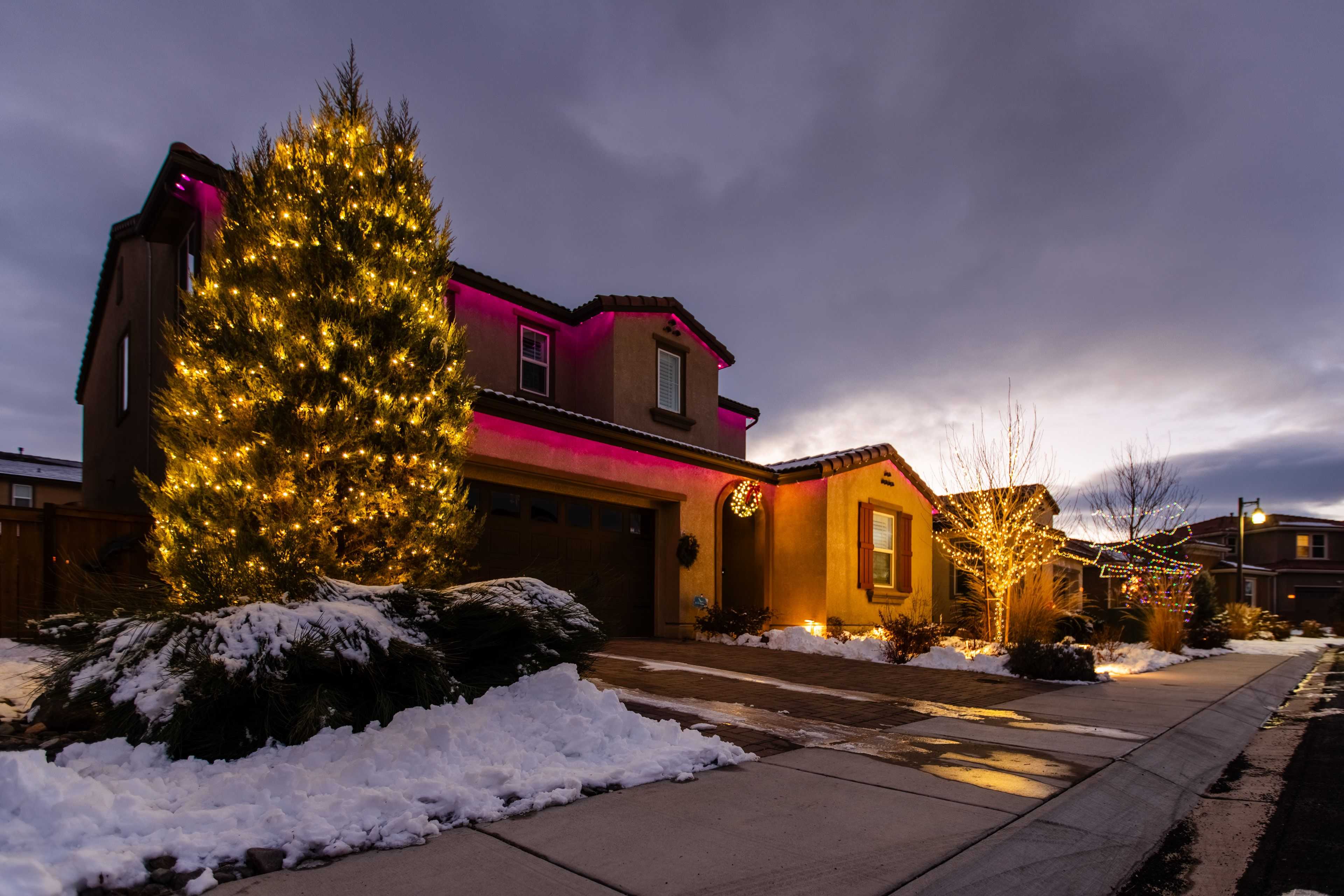 a tree wrapped with Christmas lights outside a residential property